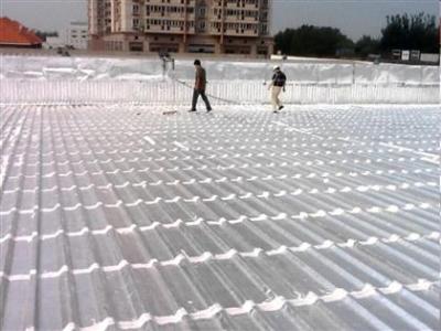 彩鋼瓦屋面防水施工_開來(lái)SECOV濕克威防水